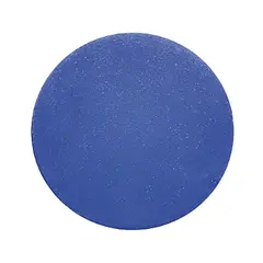 Sport-Thieme&#174; Physio Ball Blue – firm