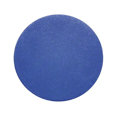 Sport-Thieme® Physio Ball Blue – firm 