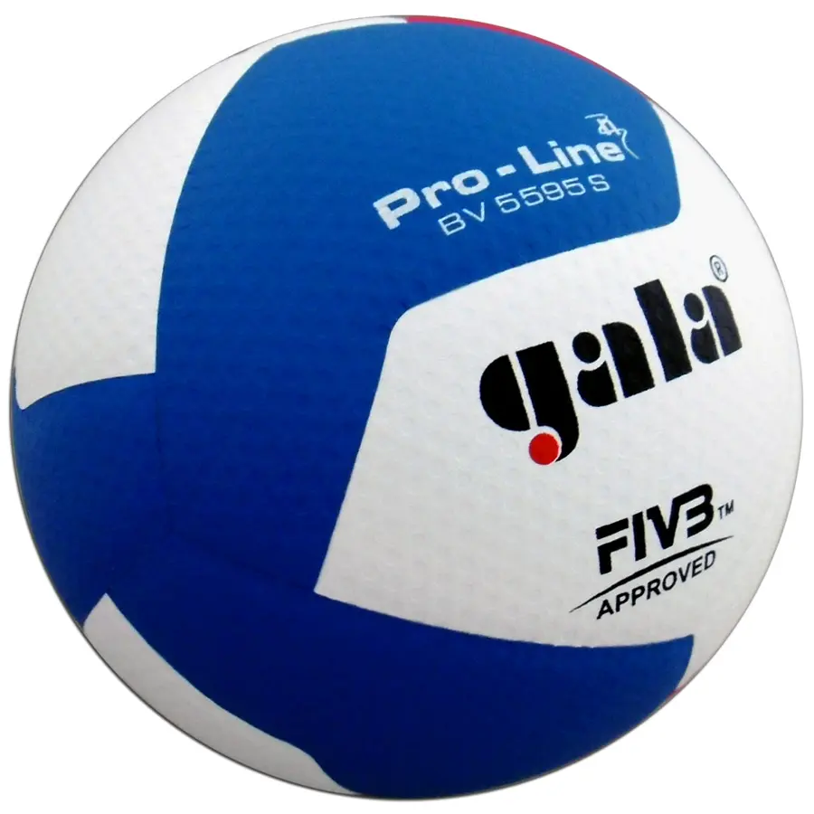 Gala Volleyball Pro-Line BV5595S 