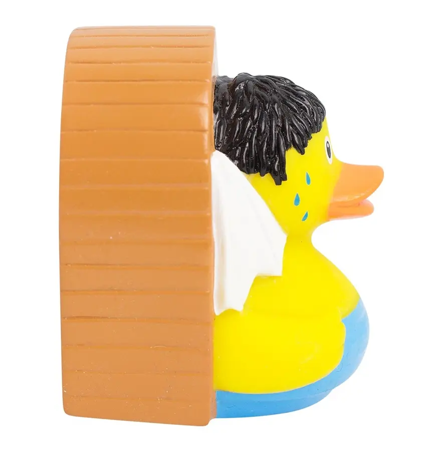 SAUNA DUCK 