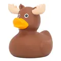 Moose Duck